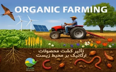 کشاورزی پایدار، مزایای محصولات ارگانیک، حفاظت از خاک، کاهش آلودگی آب، تنوع زیستی، اثرات زیست‌محیطی کشاورزی، پایداری منابع طبیعی, کشاورزی ارگانیک, حفاظت از محیط زیست, پایداری در کشاورزی, سلامت خاک, تغذیه طبیعی، غذاهای بدون سم, محصولات ارگانیک, محصولات ارگانیک دارامان, دارامان, فروش محصولات ارگانیک, خرید محصولات ارگانیک دارامان, daraman, خرید بی واسطه, فروش بی واسطه, خرید آنلاین, خرید اینترنتی, خرید آنلاین محصولات ارگانیک, خرید اینترنتی محصولات ارگانیک, فروشگاه آنلاین محصولات ارگانیک, Organic farming, Sustainable development, Environment, Organic products, The impact of organic farming on the environment, Reducing greenhouse gas emissions