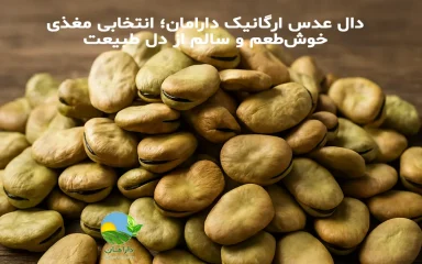 همه چیز درباره باقلا با پوست ارگانیک؛ فواید، ارزش غذایی و عوارض مصرف زیاد