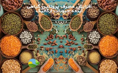 منابع پروتئین گیاهی, رژیم غذایی گیاهی, جایگزین‌های پروتئین حیوانی, فواید پروتئین گیاهی, مصرف پروتئین سالم, سبک زندگی گیاه‌محور, پروتئین‌های سالم و کم‌چرب, حبوبات ارگانیک, فواید حبوبات برای سلامتی, پروتئین حبوبات, بازار جهانی حبوبات, حبوبات در رژیم گیاهی, ارزش غذایی حبوبات, محصولات ارگانیک سالم, مزایای غذاهای ارگانیک, کشاورزی ارگانیک, تغذیه سالم و طبیعی, آینده محصولات ارگانیک, تغذیه پایدار, کاهش مصرف گوشت, اثرات زیست‌محیطی پروتئین گیاهی, انتخاب‌های غذایی سالم, رژیم غذایی سالم, خرید بی واسطه, فروش بی واسطه, خرید آنلاین, خرید اینترنتی, خرید آنلاین محصولات ارگانیک, خرید اینترنتی محصولات ارگانیک, فروشگاه آنلاین محصولات ارگانیک, دارامان, دارامان تولیدکننده محصولات ارگانیک, محصولات ارگانیک, DARAMAN, غلات ارگانیک، پروتئین گیاهی، رژیم سالم، غذای ارگانیک, خواص پروتئین گیاهی برای سلامتی, حبوبات ارگانیک برای گیاهخواران, حبوبات ارگانیک دارامان, غذا با حبوبات ارگانیک دارامان, تغذیه سالم و ارگانیک, سبک زندگی طبیعی با دارامان, Oatmeal, خرید قسطی از دیجی پی, خرید قسطی با دیجی پی, خرید قسطی با تارا, خرید قسطی از تارا, خرید قسطی با ترب پی, خرید قسطی از ترب پی, خرید اقساطی با ترب پی, خرید اقساطی از ترب پی, خرید اقساطی از دیجی پی, خرید اقساطی با دیجی پی, خرید اقساطی با تارا, خرید اقساطی از تارا, خرید قسطی بدون چک, خرید اقساطی بدون چک, خرید قسطی بدون ضامن, خرید اقساطی بدون ضامن, خرید قسطی بدون سفته, خرید اقساطی بدون سفته, خرید قسطی بدون چک و ضامن, خرید اقساطی بدون چک و ضامن, کالای قسطی, کالای اقساطی, خرید قسطی, خرید اقساطی, خرید قسطی آنلاین, خرید اقساطی آنلاین, دیجی پی خرید اقساطی, دیجی پی خرید قسطی, فروس اقساطی حبوبات, فروش قسطی حبوبات, خرید و قیمت انواع حبوبات, خرید قسطی از ترب با تارا, خرید اقساطی بدون سود و ضامن, خرید قسطی بدون سود و ضامن, خرید اقساطی حبوبات ارگانیک, خرید قسطی حبوبات ارگانیک, خرید قسطی حبوبات ارگانیک, خرید اقساطی حبوبات ارگانیک, خرید اقساطی, خرید قسطی خرید اقساطی, خرید قسطی