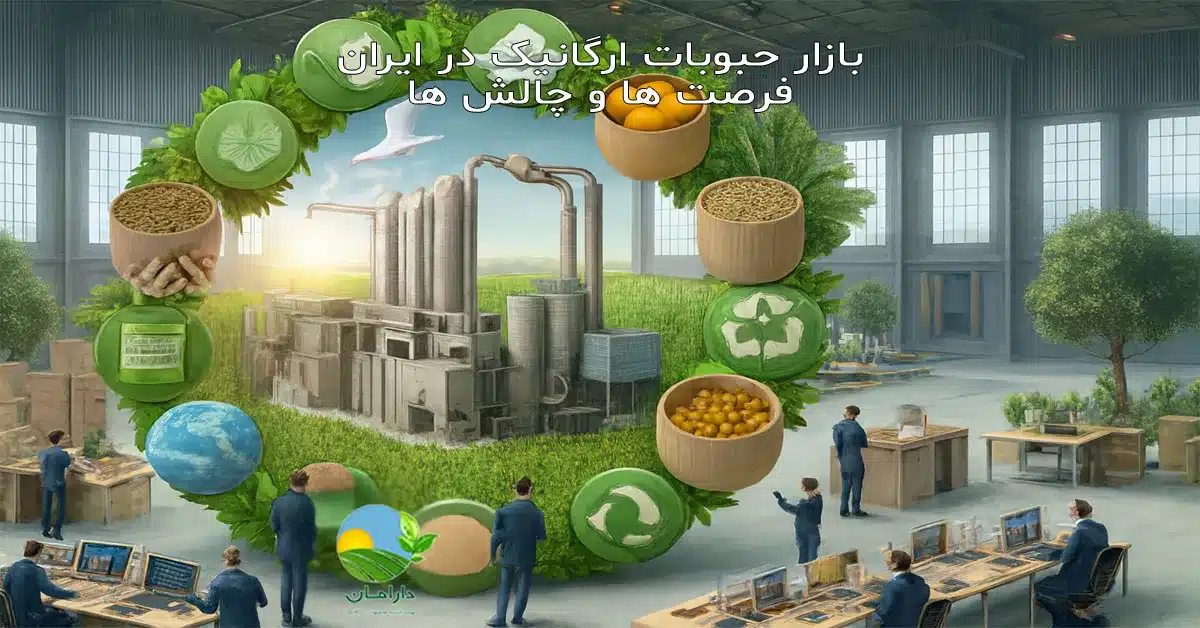 صادرات حبوبات ارگانیک, تولید حبوبات ارگانیک در ایران, قیمت حبوبات ارگانیک, تقاضای محصولات ارگانیک, بازار محصولات سالم, فواید حبوبات ارگانیک, پروتئین گیاهی, تغذیه سالم و طبیعی, حبوبات بدون سم, کشاورزی ارگانیک در ایران, زنجیره تأمین ارگانیک, استانداردهای ارگانیک, مزایای محصولات ارگانیک,