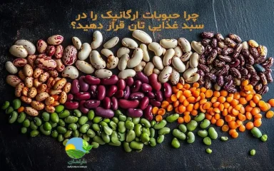 حبوبات ارگانیک, فواید حبوبات ارگانیک, خرید حبوبات ارگانیک, حبوبات سالم, محصولات ارگانیک دارامان, پروتئین گیاهی, ارزش غذایی حبوبات, دارامان, دارامان تولیدکننده محصولات ارگانیک, محصولات ارگانیک, daraman, خرید حبوبات ارگانیک ایرانی, خواص حبوبات برای بدن, پروتئین گیاهی طبیعی, حبوبات برای گیاه‌خواران, فواید حبوبات در تغذیه سالم, حبوبات و سلامت قلب, حبوبات و کاهش فشار خون, بهترین حبوبات ایرانی, حبوبات برای کاهش وزن, حبوبات طبیعی, غذای مقوی با حبوبات, حبوبات در رژیم گیاهی, حبوبات برای تقویت سیستم ایمنی, پخت حبوبات خوش‌طعم, خرید بی واسطه, فروش بی واسطه, خرید آنلاین, خرید اینترنتی, خرید آنلاین محصولات ارگانیک, خرید اینترنتی محصولات ارگانیک, فروشگاه آنلاین محصولات ارگانیک, خرید قسطی از دیجی پی, خرید قسطی با دیجی پی, خرید قسطی با تارا, خرید قسطی از تارا, خرید قسطی با ترب پی, خرید قسطی از ترب پی, خرید اقساطی با ترب پی, خرید اقساطی از ترب پی, خرید اقساطی از دیجی پی, خرید اقساطی با دیجی پی, خرید اقساطی با تارا, خرید اقساطی از تارا, خرید قسطی بدون چک, خرید اقساطی بدون چک, خرید قسطی بدون ضامن, خرید اقساطی بدون ضامن, خرید قسطی بدون سفته, خرید اقساطی بدون سفته, خرید قسطی بدون چک و ضامن, خرید اقساطی بدون چک و ضامن, کالای قسطی, کالای اقساطی, خرید قسطی, خرید اقساطی, خرید قسطی آنلاین, خرید اقساطی آنلاین, دیجی پی خرید اقساطی, دیجی پی خرید قسطی, فروس اقساطی برنج و حبوبات, فروش قسطی غلات و حبوبات, خرید و قیمت انواع حبوبات, خرید قسطی از ترب با تارا, خرید اقساطی بدون سود و ضامن, خرید قسطی بدون سود و ضامن, خرید اقساطی حبوبات ارگانیک, خرید قسطی حبوبات ارگانیک, خرید قسطی محصولات ارگانیک, خرید اقساطی محصولات ارگانیک