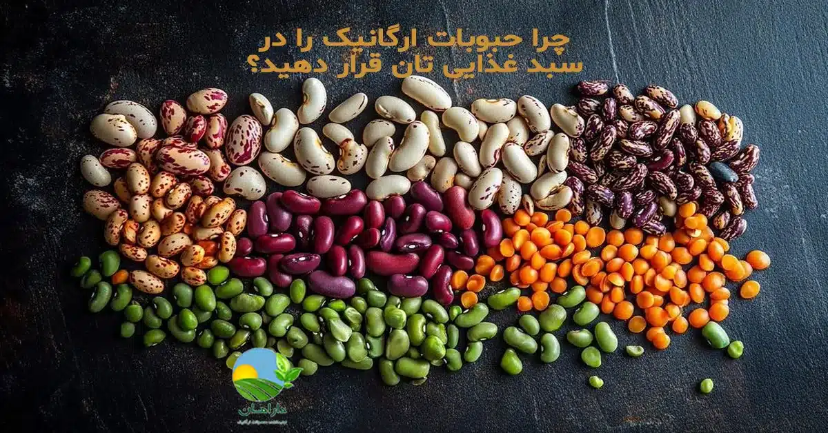 حبوبات ارگانیک, فواید حبوبات ارگانیک, خرید حبوبات ارگانیک, حبوبات سالم, محصولات ارگانیک دارامان, پروتئین گیاهی, ارزش غذایی حبوبات, دارامان, دارامان تولیدکننده محصولات ارگانیک, محصولات ارگانیک, daraman, خرید حبوبات ارگانیک ایرانی, خواص حبوبات برای بدن, پروتئین گیاهی طبیعی, حبوبات برای گیاه‌خواران, فواید حبوبات در تغذیه سالم, حبوبات و سلامت قلب, حبوبات و کاهش فشار خون, بهترین حبوبات ایرانی, حبوبات برای کاهش وزن, حبوبات طبیعی, غذای مقوی با حبوبات, حبوبات در رژیم گیاهی, حبوبات برای تقویت سیستم ایمنی, پخت حبوبات خوش‌طعم, خرید بی واسطه, فروش بی واسطه, خرید آنلاین, خرید اینترنتی, خرید آنلاین محصولات ارگانیک, خرید اینترنتی محصولات ارگانیک, فروشگاه آنلاین محصولات ارگانیک, خرید قسطی از دیجی پی, خرید قسطی با دیجی پی, خرید قسطی با تارا, خرید قسطی از تارا, خرید قسطی با ترب پی, خرید قسطی از ترب پی, خرید اقساطی با ترب پی, خرید اقساطی از ترب پی, خرید اقساطی از دیجی پی, خرید اقساطی با دیجی پی, خرید اقساطی با تارا, خرید اقساطی از تارا, خرید قسطی بدون چک, خرید اقساطی بدون چک, خرید قسطی بدون ضامن, خرید اقساطی بدون ضامن, خرید قسطی بدون سفته, خرید اقساطی بدون سفته, خرید قسطی بدون چک و ضامن, خرید اقساطی بدون چک و ضامن, کالای قسطی, کالای اقساطی, خرید قسطی, خرید اقساطی, خرید قسطی آنلاین, خرید اقساطی آنلاین, دیجی پی خرید اقساطی, دیجی پی خرید قسطی, فروس اقساطی برنج و حبوبات, فروش قسطی غلات و حبوبات, خرید و قیمت انواع حبوبات, خرید قسطی از ترب با تارا, خرید اقساطی بدون سود و ضامن, خرید قسطی بدون سود و ضامن, خرید اقساطی حبوبات ارگانیک, خرید قسطی حبوبات ارگانیک, خرید قسطی محصولات ارگانیک, خرید اقساطی محصولات ارگانیک