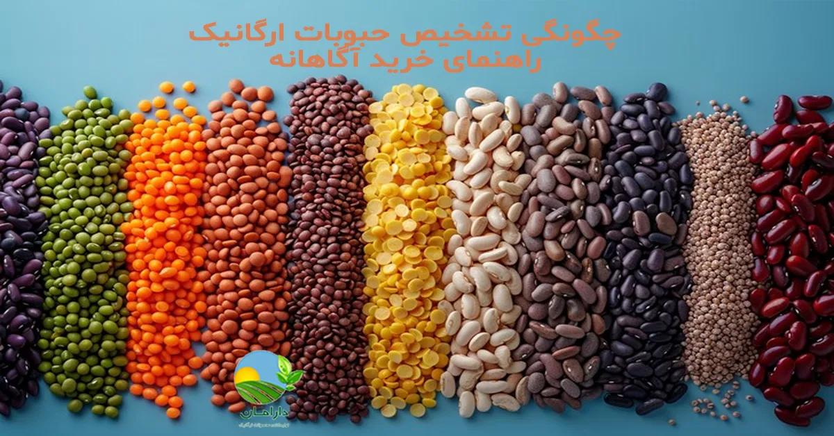 خرید حبوبات ارگانیک, راهنمای تشخیص حبوبات ارگانیک, نشانههای حبوبات ارگانیک اصل, تفاوت حبوبات ارگانیک و معمولی, ویژگیهای حبوبات ارگانیک, حبوبات ارگانیک دارامان, معیارهای انتخاب حبوبات سالم, تشخیص محصول طبیعی و بدون سم, بررسی بستهبندی محصولات ارگانیک, حبوبات ارگانیک با گواهی معتبر, Organic legumes, Organic products, Characteristics of organic products, محصولات سالم و طبیعی, رژیم غذایی سالم, خرید بی واسطه, فروش بی واسطه, خرید آنلاین, خرید اینترنتی, خرید آنلاین محصولات ارگانیک, خرید اینترنتی محصولات ارگانیک, فروشگاه آنلاین محصولات ارگانیک, دارامان, دارامان تولیدکننده محصولات ارگانیک, محصولات ارگانیک, DARAMAN, غلات ارگانیک، پروتئین گیاهی، رژیم سالم، غذای ارگانیک, خواص محصولات ارگانیک برای سلامتی, برنج برای گیاهخواران, برنج و حبوبات ارگانیک دارامان, غذا با برنج و حبوبات دارامان, تغذیه سالم و ارگانیک, سبک زندگی طبیعی با دارامان, Oatmeal, خرید قسطی از دیجی پی, خرید قسطی با دیجی پی, خرید قسطی با تارا, خرید قسطی از تارا, خرید قسطی با ترب پی, خرید قسطی از ترب پی, خرید اقساطی با ترب پی, خرید اقساطی از ترب پی, خرید اقساطی از دیجی پی, خرید اقساطی با دیجی پی, خرید اقساطی با تارا, خرید اقساطی از تارا, خرید قسطی بدون چک, خرید اقساطی بدون چک, خرید قسطی بدون ضامن, خرید اقساطی بدون ضامن, خرید قسطی بدون سفته, خرید اقساطی بدون سفته, خرید قسطی بدون چک و ضامن, خرید اقساطی بدون چک و ضامن, کالای قسطی, کالای اقساطی, خرید قسطی, خرید اقساطی, خرید قسطی آنلاین, خرید اقساطی آنلاین, دیجی پی خرید اقساطی, دیجی پی خرید قسطی, فروش اقساطی برنج, فروش قسطی برنج, خرید و قیمت انواع برنج, خرید قسطی از ترب با تارا, خرید اقساطی بدون سود و ضامن, خرید قسطی بدون سود و ضامن, خرید اقساطی برنج و حبوبات ارگانیک, خرید قسطی برنج و حبوبات ارگانیک, خرید قسطی برنج و حبوبات ارگانیک, خرید اقساطی برنج و حبوبات ارگانیک, خرید اقساطی برنج, خرید قسطی برنج, خرید اقساطی برنج و حبوبات, خرید قسطی برنج و حبوبات