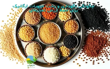 نگهداری حبوبات ارگانیک, روش پخت حبوبات ارگانیک, افزایش ارزش غذایی حبوبات, خیساندن و پخت اصولی حبوبات, نکات آشپزی سالم, حبوبات سالم دارامان, نگهداری بدون آفت حبوبات, طرز پخت صحیح حبوبات, روش‌های خانگی جلوگیری از نفخ, تکنیک‌های آشپزی با حبوبات ارگانیک, برنج و حبوبات سالم و طبیعی, رژیم غذایی سالم, خرید بی واسطه, فروش بی واسطه, خرید آنلاین, خرید اینترنتی, خرید آنلاین محصولات ارگانیک, خرید اینترنتی محصولات ارگانیک, فروشگاه آنلاین محصولات ارگانیک, دارامان, دارامان تولیدکننده محصولات ارگانیک, محصولات ارگانیک, DARAMAN, غلات ارگانیک، پروتئین گیاهی، رژیم سالم، غذای ارگانیک, خواص برنج برای سلامتی, برنج و حبوبات برای گیاهخواران, برنج و حبوبات ارگانیک دارامان, غذا با برنج و حبوبات دارامان, تغذیه سالم و ارگانیک, سبک زندگی طبیعی با دارامان, Oatmeal, خرید قسطی از دیجی پی, خرید قسطی با دیجی پی, خرید قسطی با تارا, خرید قسطی از تارا, خرید قسطی با ترب پی, خرید قسطی از ترب پی, خرید اقساطی با ترب پی, خرید اقساطی از ترب پی, خرید اقساطی از دیجی پی, خرید اقساطی با دیجی پی, خرید اقساطی با تارا, خرید اقساطی از تارا, خرید قسطی بدون چک, خرید اقساطی بدون چک, خرید قسطی بدون ضامن, خرید اقساطی بدون ضامن, خرید قسطی بدون سفته, خرید اقساطی بدون سفته, خرید قسطی بدون چک و ضامن, خرید اقساطی بدون چک و ضامن, کالای قسطی, کالای اقساطی, خرید قسطی, خرید اقساطی, خرید قسطی آنلاین, خرید اقساطی آنلاین, دیجی پی خرید اقساطی, دیجی پی خرید قسطی, فروش اقساطی برنج و حبوبات, فروش قسطی برنج, خرید و قیمت انواع برنج و حبوبات, خرید قسطی از ترب با تارا, خرید اقساطی بدون سود و ضامن, خرید قسطی بدون سود و ضامن, خرید اقساطی برنج و حبوبات ارگانیک, خرید قسطی برنج و حبوبات ارگانیک, خرید قسطی برنج و حبوبات ارگانیک, خرید اقساطی برنج و حبوبات ارگانیک, خرید اقساطی برنج و حبوبات, خرید قسطی برنج و حبوبات, خرید اقساطی برنج و حبوبات, خرید قسطی برنج و حبوبات, Storing and cooking organic legumes