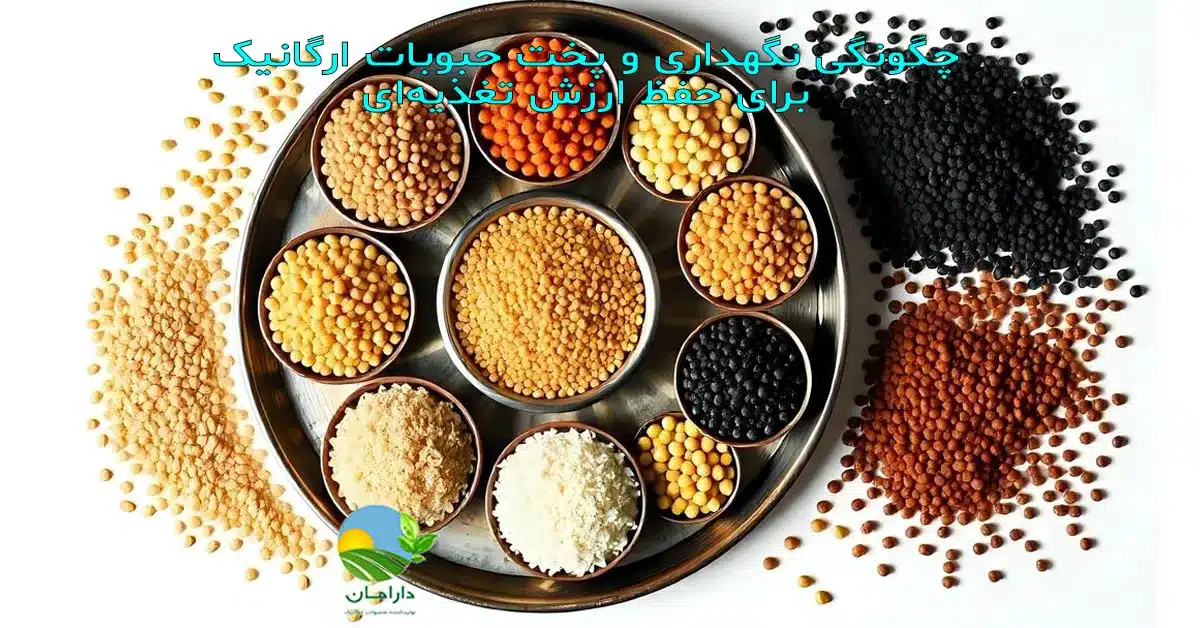 نگهداری حبوبات ارگانیک, روش پخت حبوبات ارگانیک, افزایش ارزش غذایی حبوبات, خیساندن و پخت اصولی حبوبات, نکات آشپزی سالم, حبوبات سالم دارامان, نگهداری بدون آفت حبوبات, طرز پخت صحیح حبوبات, روش‌های خانگی جلوگیری از نفخ, تکنیک‌های آشپزی با حبوبات ارگانیک, برنج و حبوبات سالم و طبیعی, رژیم غذایی سالم, خرید بی واسطه, فروش بی واسطه, خرید آنلاین, خرید اینترنتی, خرید آنلاین محصولات ارگانیک, خرید اینترنتی محصولات ارگانیک, فروشگاه آنلاین محصولات ارگانیک, دارامان, دارامان تولیدکننده محصولات ارگانیک, محصولات ارگانیک, DARAMAN, غلات ارگانیک، پروتئین گیاهی، رژیم سالم، غذای ارگانیک, خواص برنج برای سلامتی, برنج و حبوبات برای گیاهخواران, برنج و حبوبات ارگانیک دارامان, غذا با برنج و حبوبات دارامان, تغذیه سالم و ارگانیک, سبک زندگی طبیعی با دارامان, Oatmeal, خرید قسطی از دیجی پی, خرید قسطی با دیجی پی, خرید قسطی با تارا, خرید قسطی از تارا, خرید قسطی با ترب پی, خرید قسطی از ترب پی, خرید اقساطی با ترب پی, خرید اقساطی از ترب پی, خرید اقساطی از دیجی پی, خرید اقساطی با دیجی پی, خرید اقساطی با تارا, خرید اقساطی از تارا, خرید قسطی بدون چک, خرید اقساطی بدون چک, خرید قسطی بدون ضامن, خرید اقساطی بدون ضامن, خرید قسطی بدون سفته, خرید اقساطی بدون سفته, خرید قسطی بدون چک و ضامن, خرید اقساطی بدون چک و ضامن, کالای قسطی, کالای اقساطی, خرید قسطی, خرید اقساطی, خرید قسطی آنلاین, خرید اقساطی آنلاین, دیجی پی خرید اقساطی, دیجی پی خرید قسطی, فروش اقساطی برنج و حبوبات, فروش قسطی برنج, خرید و قیمت انواع برنج و حبوبات, خرید قسطی از ترب با تارا, خرید اقساطی بدون سود و ضامن, خرید قسطی بدون سود و ضامن, خرید اقساطی برنج و حبوبات ارگانیک, خرید قسطی برنج و حبوبات ارگانیک, خرید قسطی برنج و حبوبات ارگانیک, خرید اقساطی برنج و حبوبات ارگانیک, خرید اقساطی برنج و حبوبات, خرید قسطی برنج و حبوبات, خرید اقساطی برنج و حبوبات, خرید قسطی برنج و حبوبات, Storing and cooking organic legumes