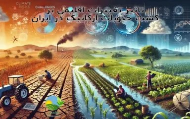 تغییرات اقلیمی و کشاورزی ارگانیک, تأثیر گرمایش زمین بر حبوبات, کشت حبوبات ارگانیک در ایران, چالش‌های اقلیمی کشاورزی ایران, تغییر الگوی بارش و تولید حبوبات, اثر خشکسالی بر کشت حبوبات, کشاورزی پایدار و تغییرات اقلیمی, تولید حبوبات سالم و ارگانیک, آینده کشت حبوبات در شرایط اقلیمی جدید, سازگاری کشاورزی ارگانیک با تغییرات آب‌وهوایی, مدیریت منابع آب در کشت حبوبات, تأثیر اقلیم بر کیفیت حبوبات, امنیت غذایی و حبوبات ارگانیک, حفاظت از خاک در کشاورزی ارگانیک, برنج و حبوبات سالم و طبیعی, رژیم غذایی سالم, خرید بی واسطه, فروش بی واسطه, خرید آنلاین, خرید اینترنتی, خرید آنلاین محصولات ارگانیک, خرید اینترنتی محصولات ارگانیک, فروشگاه آنلاین محصولات ارگانیک, دارامان, دارامان تولیدکننده محصولات ارگانیک, محصولات ارگانیک, DARAMAN, غلات ارگانیک، پروتئین گیاهی، رژیم سالم، غذای ارگانیک, خواص برنج برای سلامتی, برنج و حبوبات برای گیاهخواران, برنج و حبوبات ارگانیک دارامان, غذا با برنج و حبوبات دارامان, تغذیه سالم و ارگانیک, سبک زندگی طبیعی با دارامان, Oatmeal, خرید قسطی از دیجی پی, خرید قسطی با دیجی پی, خرید قسطی با تارا, خرید قسطی از تارا, خرید قسطی با ترب پی, خرید قسطی از ترب پی, خرید اقساطی با ترب پی, خرید اقساطی از ترب پی, خرید اقساطی از دیجی پی, خرید اقساطی با دیجی پی, خرید اقساطی با تارا, خرید اقساطی از تارا, خرید قسطی بدون چک, خرید اقساطی بدون چک, خرید قسطی بدون ضامن, خرید اقساطی بدون ضامن, خرید قسطی بدون سفته, خرید اقساطی بدون سفته, خرید قسطی بدون چک و ضامن, خرید اقساطی بدون چک و ضامن, کالای قسطی, کالای اقساطی, خرید قسطی, خرید اقساطی, خرید قسطی آنلاین, خرید اقساطی آنلاین, دیجی پی خرید اقساطی, دیجی پی خرید قسطی, فروش اقساطی برنج و حبوبات, فروش قسطی برنج, خرید و قیمت انواع برنج و حبوبات, خرید قسطی از ترب با تارا, خرید اقساطی بدون سود و ضامن, خرید قسطی بدون سود و ضامن, خرید اقساطی برنج و حبوبات ارگانیک, خرید قسطی برنج و حبوبات ارگانیک, خرید قسطی برنج و حبوبات ارگانیک, خرید اقساطی برنج و حبوبات ارگانیک, خرید اقساطی برنج و حبوبات, خرید قسطی برنج و حبوبات, خرید اقساطی برنج و حبوبات, خرید قسطی برنج و حبوبات, The impact of climate change on organic legume cultivation