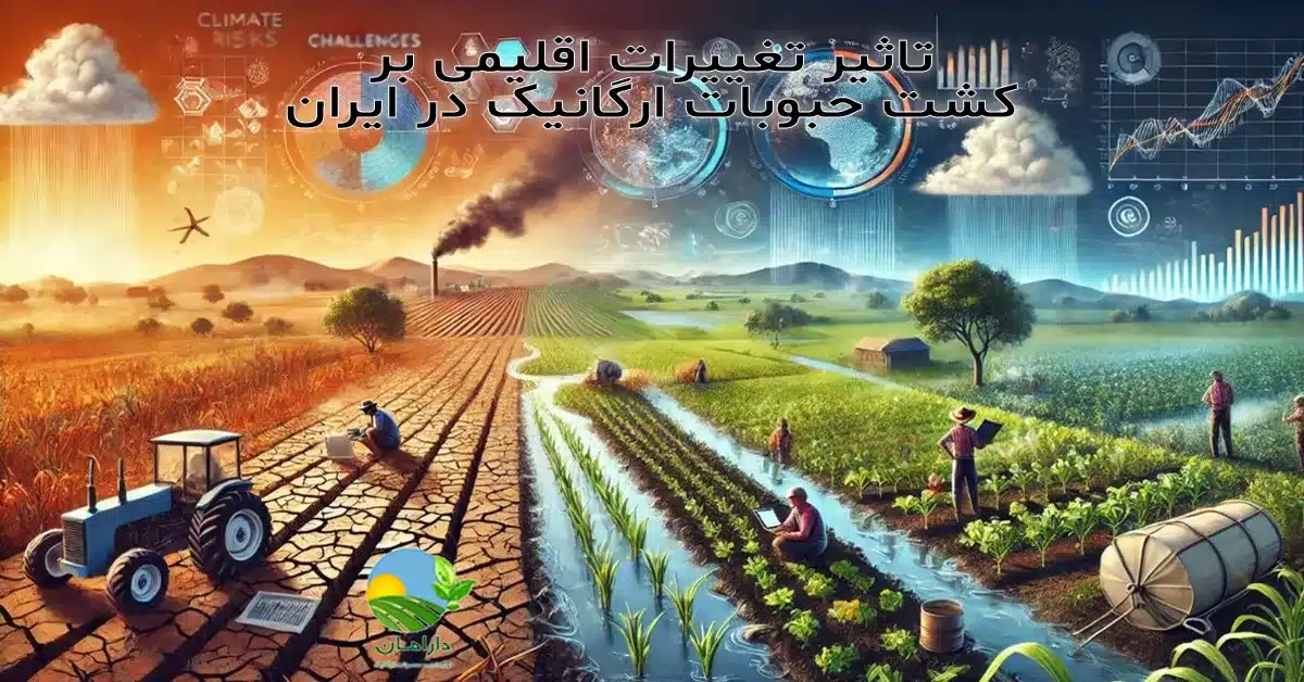 تغییرات اقلیمی و کشاورزی ارگانیک, تأثیر گرمایش زمین بر حبوبات, کشت حبوبات ارگانیک در ایران, چالشهای اقلیمی کشاورزی ایران, تغییر الگوی بارش و تولید حبوبات, اثر خشکسالی بر کشت حبوبات, کشاورزی پایدار و تغییرات اقلیمی, تولید حبوبات سالم و ارگانیک, آینده کشت حبوبات در شرایط اقلیمی جدید, سازگاری کشاورزی ارگانیک با تغییرات آبوهوایی, مدیریت منابع آب در کشت حبوبات, تأثیر اقلیم بر کیفیت حبوبات, امنیت غذایی و حبوبات ارگانیک, حفاظت از خاک در کشاورزی ارگانیک, برنج و حبوبات سالم و طبیعی, رژیم غذایی سالم, خرید بی واسطه, فروش بی واسطه, خرید آنلاین, خرید اینترنتی, خرید آنلاین محصولات ارگانیک, خرید اینترنتی محصولات ارگانیک, فروشگاه آنلاین محصولات ارگانیک, دارامان, دارامان تولیدکننده محصولات ارگانیک, محصولات ارگانیک, DARAMAN, غلات ارگانیک، پروتئین گیاهی، رژیم سالم، غذای ارگانیک, خواص برنج برای سلامتی, برنج و حبوبات برای گیاهخواران, برنج و حبوبات ارگانیک دارامان, غذا با برنج و حبوبات دارامان, تغذیه سالم و ارگانیک, سبک زندگی طبیعی با دارامان, Oatmeal, خرید قسطی از دیجی پی, خرید قسطی با دیجی پی, خرید قسطی با تارا, خرید قسطی از تارا, خرید قسطی با ترب پی, خرید قسطی از ترب پی, خرید اقساطی با ترب پی, خرید اقساطی از ترب پی, خرید اقساطی از دیجی پی, خرید اقساطی با دیجی پی, خرید اقساطی با تارا, خرید اقساطی از تارا, خرید قسطی بدون چک, خرید اقساطی بدون چک, خرید قسطی بدون ضامن, خرید اقساطی بدون ضامن, خرید قسطی بدون سفته, خرید اقساطی بدون سفته, خرید قسطی بدون چک و ضامن, خرید اقساطی بدون چک و ضامن, کالای قسطی, کالای اقساطی, خرید قسطی, خرید اقساطی, خرید قسطی آنلاین, خرید اقساطی آنلاین, دیجی پی خرید اقساطی, دیجی پی خرید قسطی, فروش اقساطی برنج و حبوبات, فروش قسطی برنج, خرید و قیمت انواع برنج و حبوبات, خرید قسطی از ترب با تارا, خرید اقساطی بدون سود و ضامن, خرید قسطی بدون سود و ضامن, خرید اقساطی برنج و حبوبات ارگانیک, خرید قسطی برنج و حبوبات ارگانیک, خرید قسطی برنج و حبوبات ارگانیک, خرید اقساطی برنج و حبوبات ارگانیک, خرید اقساطی برنج و حبوبات, خرید قسطی برنج و حبوبات, خرید اقساطی برنج و حبوبات, خرید قسطی برنج و حبوبات, The impact of climate change on organic legume cultivation