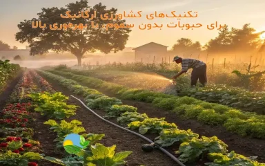 تولید حبوبات ارگانیک, روش‌های کشاورزی ارگانیک, تکنیک‌های بدون سم برای حبوبات, مزایای کشاورزی ارگانیک, کنترل طبیعی آفات, آبیاری بهینه در کشاورزی ارگانیک, کودهای طبیعی برای حبوبات, تناوب کشت در کشاورزی ارگانیک, حبوبات سالم و ارگانیک دارامان, روش‌های برداشت و خشک‌سازی استاندارد, روش‌های تولید حبوبات ارگانیک در ایران, مزایای حبوبات ارگانیک نسبت به حبوبات معمولی, نکات مهم در کشت حبوبات ارگانیک, راهنمای کشاورزی ارگانیک حبوبات, کنترل طبیعی آفات حبوبات بدون سم, روش‌های ارگانیک مدیریت علف‌های هرز, استفاده از دشمنان طبیعی برای حفاظت از حبوبات, محلول‌های گیاهی برای دفع آفات حبوبات, بهترین کودهای طبیعی برای حبوبات, تغذیه خاک در کشاورزی ارگانیک, استفاده از کمپوست و ورمی‌کمپوست در تولید حبوبات, تثبیت نیتروژن در خاک توسط حبوبات, آبیاری قطره‌ای در کشاورزی ارگانیک, حفظ رطوبت خاک با مالچ طبیعی, تکنیک‌های بهینه آبیاری حبوبات, اصول برداشت حبوبات ارگانیک, خشک‌سازی طبیعی حبوبات, بسته‌بندی استاندارد محصولات ارگانیک, حفظ ارزش غذایی حبوبات در فرآوری و بسته‌بندی, حبوبات ارگانیک دارامان, خرید حبوبات سالم و بدون سم, نکات خرید حبوبات ارگانیک از برند معتبر, راهنمای انتخاب حبوبات ارگانیک واقعی, برنج سالم و طبیعی, رژیم غذایی سالم, خرید بی واسطه, فروش بی واسطه, خرید آنلاین, خرید اینترنتی, خرید آنلاین محصولات ارگانیک, خرید اینترنتی محصولات ارگانیک, فروشگاه آنلاین محصولات ارگانیک, دارامان, دارامان تولیدکننده محصولات ارگانیک, محصولات ارگانیک, DARAMAN, غلات ارگانیک، پروتئین گیاهی، رژیم سالم، غذای ارگانیک, خواص برنج و حبوبات برای سلامتی, برنج برای گیاهخواران, برنج و حبوبات ارگانیک دارامان, غذا با برنج و حبوبات دارامان, تغذیه سالم و ارگانیک, سبک زندگی طبیعی با دارامان, Oatmeal, خرید قسطی از دیجی پی, خرید قسطی با دیجی پی, خرید قسطی با تارا, خرید قسطی از تارا, خرید قسطی با ترب پی, خرید قسطی از ترب پی, خرید اقساطی با ترب پی, خرید اقساطی از ترب پی, خرید اقساطی از دیجی پی, خرید اقساطی با دیجی پی, خرید اقساطی با تارا, خرید اقساطی از تارا, خرید قسطی بدون چک, خرید اقساطی بدون چک, خرید قسطی بدون ضامن, خرید اقساطی بدون ضامن, خرید قسطی بدون سفته, خرید اقساطی بدون سفته, خرید قسطی بدون چک و ضامن, خرید اقساطی بدون چک و ضامن, کالای قسطی, کالای اقساطی, خرید قسطی, خرید اقساطی, خرید قسطی آنلاین, خرید اقساطی آنلاین, دیجی پی خرید اقساطی, دیجی پی خرید قسطی, فروش اقساطی برنج, فروش قسطی برنج, خرید و قیمت انواع برنج, خرید قسطی از ترب با تارا, خرید اقساطی بدون سود و ضامن, خرید قسطی بدون سود و ضامن, خرید اقساطی برنج ارگانیک, خرید قسطی برنج ارگانیک, خرید قسطی برنج ارگانیک, خرید اقساطی برنج ارگانیک, خرید اقساطی برنج, خرید قسطی برنج, خرید اقساطی برنج, خرید قسطی برنج, Organic farming methods, Benefits of organic farming