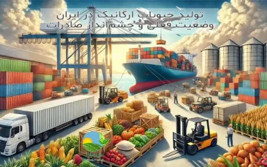 صادرات حبوبات ارگانیک ایران, بازار حبوبات ارگانیک, چشم‌انداز صادرات حبوبات, تولید ارگانیک در ایران, توسعه کشاورزی ارگانیک, حبوبات ارگانیک دارامان, ظرفیت صادرات حبوبات, مزایای حبوبات ارگانیک ایرانی, چالش‌های تولید ارگانیک, پتانسیل ایران در محصولات ارگانیک, حبوبات و برنج سالم و طبیعی, رژیم غذایی سالم, خرید بی واسطه, فروش بی واسطه, خرید آنلاین, خرید اینترنتی, خرید آنلاین محصولات ارگانیک, خرید اینترنتی محصولات ارگانیک, فروشگاه آنلاین محصولات ارگانیک, دارامان, دارامان تولیدکننده محصولات ارگانیک, محصولات ارگانیک, DARAMAN, غلات ارگانیک، پروتئین گیاهی، رژیم سالم، غذای ارگانیک, خواص برنج برای سلامتی, برنج و حبوبات برای گیاهخواران, برنج و حبوبات ارگانیک دارامان, غذا با برنج و حبوبات دارامان, تغذیه سالم و ارگانیک, سبک زندگی طبیعی با دارامان, Oatmeal, خرید قسطی از دیجی پی, خرید قسطی با دیجی پی, خرید قسطی با تارا, خرید قسطی از تارا, خرید قسطی با ترب پی, خرید قسطی از ترب پی, خرید اقساطی با ترب پی, خرید اقساطی از ترب پی, خرید اقساطی از دیجی پی, خرید اقساطی با دیجی پی, خرید اقساطی با تارا, خرید اقساطی از تارا, خرید قسطی بدون چک, خرید اقساطی بدون چک, خرید قسطی بدون ضامن, خرید اقساطی بدون ضامن, خرید قسطی بدون سفته, خرید اقساطی بدون سفته, خرید قسطی بدون چک و ضامن, خرید اقساطی بدون چک و ضامن, کالای قسطی, کالای اقساطی, خرید قسطی, خرید اقساطی, خرید قسطی آنلاین, خرید اقساطی آنلاین, دیجی پی خرید اقساطی, دیجی پی خرید قسطی, فروش اقساطی برنج, فروش قسطی برنج, خرید و قیمت انواع برنج, خرید قسطی از ترب با تارا, خرید اقساطی بدون سود و ضامن, خرید قسطی بدون سود و ضامن, خرید اقساطی برنج ارگانیک, خرید قسطی برنج ارگانیک, خرید قسطی برنج ارگانیک, خرید اقساطی برنج ارگانیک, خرید اقساطی برنج, خرید قسطی برنج, خرید اقساطی برنج, خرید قسطی برنج, Export of organic grains from Iran, Organic Beans Market