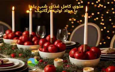 غذای شب یلدا, منوی شب یلدا, غذای سنتی شب یلدا, غذاهای مناسب شب یلدا, شام شب یلدا, دسر شب یلدا, سفره شب یلدا, غذای سالم شب یلدا, غذای یلدایی با مواد ارگانیک, منوی یلدا با محصولات طبیعی, غذاهای ایرانی شب یلدا, تغذیه سالم در شب یلدا, Yalda night dinner table, yahda, yalda night, انار, هندوانه, آجیل, Watermelon, Pomegranate, Nuts, آش رشته, Noodle soup, آش انار, Pomegranate soup