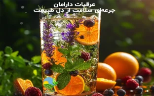 خواص عرقیات دارامان, فواید عرقیات گیاهی, عرقیات گیاهی طبیعی, خواص انواع عرقیات گیاهی, عرقیات گیاهی بدون افزودنی, نوشیدنی‌های گیاهی دارویی, مصرف عرقیات گیاهی, عرقیات سنتی ایرانی, عرقیات گیاهی برای مصرف روزانه, خرید عرقیات گیاهی دارامان, قیمت عرقیات گیاهی ارگانیک دارامان, روش نگهداری عرقیات گیاهی, عرقیات گیاهی سالم و طبیعی, رژیم غذایی سالم, خرید بی واسطه, فروش بی واسطه, خرید آنلاین, خرید اینترنتی, خرید آنلاین محصولات ارگانیک, خرید اینترنتی محصولات ارگانیک, فروشگاه آنلاین محصولات ارگانیک, دارامان, دارامان تولیدکننده محصولات ارگانیک, محصولات ارگانیک, DARAMAN، رژیم سالم، غذای ارگانیک, خواص عرقیات گیاهی برای سلامتی, عرقیات گیاهی برای گیاهخواران, عرقیات گیاهی ارگانیک دارامان, عرقیات گیاهی دارامان, تغذیه سالم و ارگانیک, سبک زندگی طبیعی با دارامان, خرید قسطی از دیجی پی, خرید قسطی با دیجی پی, خرید قسطی با تارا, خرید قسطی از تارا, خرید قسطی با ترب پی, خرید قسطی از ترب پی, خرید اقساطی با ترب پی, خرید اقساطی از ترب پی, خرید اقساطی از دیجی پی, خرید اقساطی با دیجی پی, خرید اقساطی با تارا, خرید اقساطی از تارا, خرید قسطی بدون چک, خرید اقساطی بدون چک, خرید قسطی بدون ضامن, خرید اقساطی بدون ضامن, خرید قسطی بدون سفته, خرید اقساطی بدون سفته, خرید قسطی بدون چک و ضامن, خرید اقساطی بدون چک و ضامن, کالای قسطی, کالای اقساطی, خرید قسطی, خرید اقساطی, خرید قسطی آنلاین, خرید اقساطی آنلاین, دیجی پی خرید اقساطی, دیجی پی خرید قسطی, فروش اقساطی عرقیات گیاهی, فروش قسطی عرقیات گیاهی, خرید و قیمت انواع عرقیات گیاهی, خرید قسطی از ترب با تارا, خرید اقساطی بدون سود و ضامن, خرید قسطی بدون سود و ضامن, خرید قسطی عرقیات گیاهی ارگانیک, خرید اقساطی عرقیات گیاهی ارگانیک, خرید اقساطی عرقیات گیاهی, خرید قسطی عرقیات گیاهی
